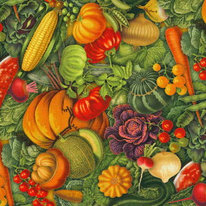 USARbg Cornucopia(RkRsA)HוƖL̏ے Farm And Garden t@[AhK[f V[`On VEGGIES moda fabrics(_t@ubNX)7471-11