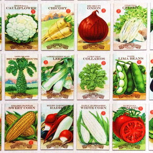 USARbg Seed Packets(̑) Farm And Garden t@[AhK[f V[`On MILK~NF moda fabrics(_t@ubNX)7473-12