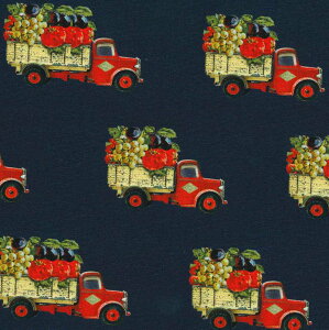 USARbg Farm to Market(_ꂩs) Farm And Garden t@[AhK[f V[`On INDIGOCfBS moda fabrics(_t@ubNX)7475-16