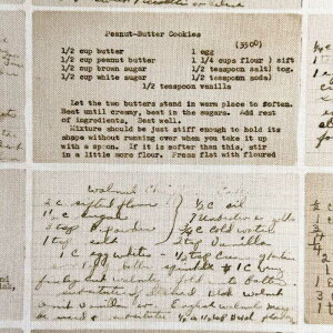 USARbg Recipe Cards(VsJ[h) Farm And Garden t@[AhK[f V[`On MILK~NF moda fabrics(_t@ubNX)7485-11