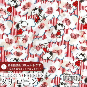 PEANUTS(TM)Xk[s[×oeBt@ubNX Y^i[nJoe Cool(W[EN[)ybhzDC34861-J25A