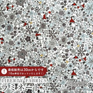 PEANUTS(TM)Xk[s[×oeBt@ubNX Y~l[g(rj[R[eBOn)Floral Delight(t[EfCg)yO[zMATLAMI-DC34862-J25C