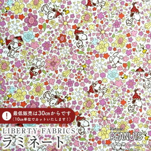PEANUTS(TM)Xk[s[×oeBt@ubNX Y~l[g(rj[R[eBOn)Floral Delight(t[EfCg)ysNzMATLAMI-DC34862-J25D