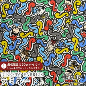 PEANUTS(TM)Xk[s[×oeBt@ubNX Y~l[g(rj[R[eBOn)Squiggly Story(XNCO[EXg[[)yO[×JtzMATLAMI-DC34863-J25A