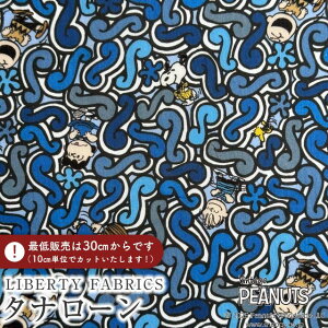 PEANUTS(TM)Xk[s[×oeBt@ubNX Y^i[nSquiggly Story(XNCO[EXg[[)yu[zDC34863-J25B