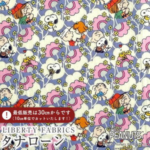 PEANUTS(TM)Xk[s[×oeBt@ubNX Y^i[nFriendship Blooms(thVbvEu[Y)yp[v×sNzDC34864-J25C