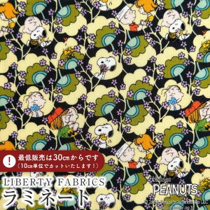 PEANUTS(TM)Xk[s[×oeBt@ubNX Y~l[g(rj[R[eBOn)Friendship Blooms(thVbvEu[Y)yubN×J[LzMATLAMI-DC34864-J25D