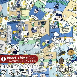 PEANUTS(TM)Xk[s[×oeBt@ubNX Y~l[g(rj[R[eBOn)Comic Strip Cosmos(R~bNEXgbvERXX)yu[zMATLAMI-DC34865-J25B