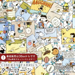 PEANUTS(TM)Xk[s[×oeBt@ubNX Y^i[nComic Strip Cosmos(R~bNEXgbvERXX)yCG[IWzDC34865-J25C