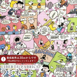 PEANUTS(TM)Xk[s[×oeBt@ubNX Y~l[g(rj[R[eBOn)Comic Strip Cosmos(R~bNEXgbvERXX)ysNzMATLAMI-DC34865-J25D