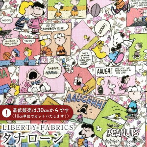 PEANUTS(TM)Xk[s[×oeBt@ubNX Y^i[nComic Strip Cosmos(R~bNEXgbvERXX)ysNzDC34865-J25D