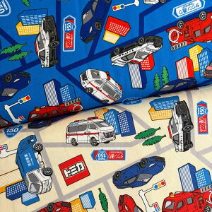 g~J nCEFC IbNX u[/N[(LN^[ wʉʊw bXobO V[YobO )G-6127