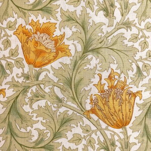 V&A William Morris EBAX V[`OnAnemone(All)yN[zVA10002S-A