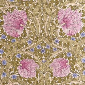 V&A William Morris EBAX ȖLoXnPimpernel(spl)y×sNzVA10019S-B