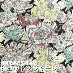 LIBERTY FABRICS oeBvg YVFgW[W(^iW[W)n(G^[i) 60/2VBlackburn(ubNo[)ysNz3631226WK