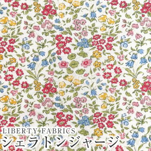 LIBERTY FABRICS oeBvg YVFgW[W(^iW[W)n(G^[i) 60/2VLilibet(xbg)ysN×CG[z3632218AK