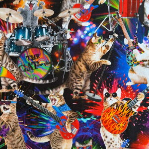 USARbg Rocker Cats(bJ[Lbg)bNȃlR V[`On }`J[ Timeless Treasures(^CXgW[)CD3398-MULTI