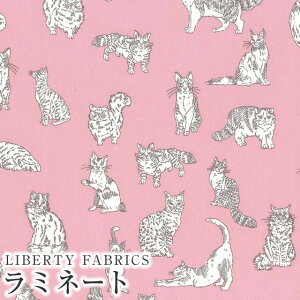 LIBERTY FABRICS oeBvg Y~l[g(rj[R[eBOn)Meow(~IE)ysNzMATLAMI-DC32576XE