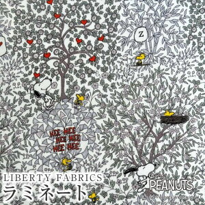 PEANUTS(TM)Xk[s[×oeBt@ubNX Y~l[g(rj[R[eBOn)Woodstock Day(EbhXgbNEfC)yCgO[×zCgnzMATLAMI-DC33936-J25A