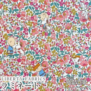 PEANUTS(TM)Xk[s[×oeBt@ubNX Y~l[g(rj[R[eBOn)Charlie Brown's Flowers(`[[EuEYEt[Y)yR[sNzMATLAMI-DC3393