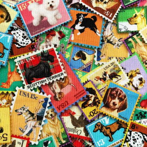 USA�R�b�g�� Everyday Favorites Dogs Stamps(���̐؎�)������ �C�k�� Multi�}���`�J���[ �V�[�`���O���n Robert Kaufman(���o�[�g�J�t�}��)23929-205