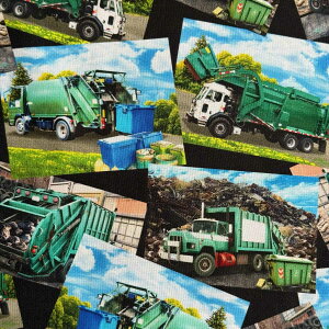 USA�R�b�g�� Garbage Trucks(�S�~���W��)Multi�}���`�J���[ �V�[�`���O���n Timeless Treasures(�^�C�����X�g���W���[)CD3887-MULTI