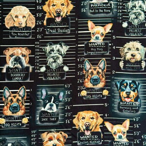 USA�R�b�g�� Dog Mugshots(�h�b�O�}�O�V���b�g)��񂿂��̑ߕߎʐ^ ������ ���� Black�u���b�N �V�[�`���O���n Timeless Treasures(�^�C�����X�g���W���[)CD3888-BLACK