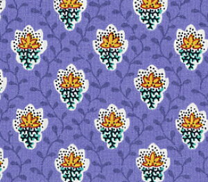 SOULEIADO \CA[hV[`OnveBEt[EfEV@u[n