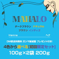 【ネコポス便送料無料】ヘナ初回限定セット 100g×2袋特Aランクヘナプレゼント＆使用手順書付き白髪染め …