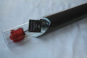 �y�S�ăv���U���ԍށz�v���U�[�u�h�t�����[�@�t���[���G�o�[�@�O���[�X���[�Y�X�e���t1�{������