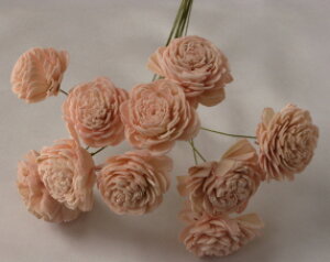 yԍށzhCt[@n_\[[[Y110{@GWFsN