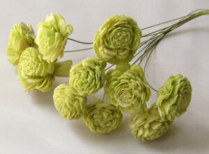 �y�ԍށz�h���C�t�����[�@��n�_���\�[���[���[�Y��1��10�{����@�G���W�F���O���[��