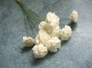 �y�ԍށz�h���C�t�����[�@��n�_���\�[���[���[�Y�E�~�j1��10�{����@��