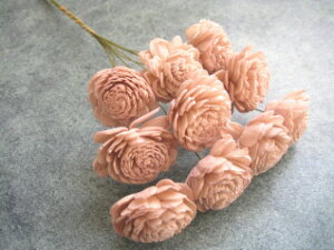 yԍށzhCt[@\[[[Y110{@VisN