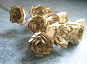 �y�ԍށz�h���C�t�����[�@�\�[���[�~�j�_���A1��10�{����@�i�`������