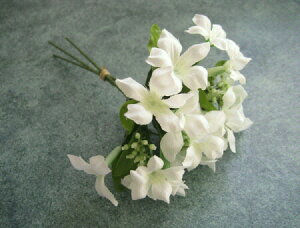 yԍށzԁEԁ@XC[gXet@msbN13{@zCg