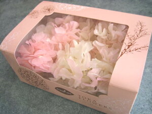 yԍ AWTC zvU[uht[@\tg1@zCg×sN