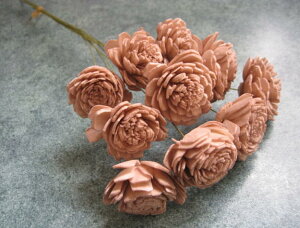 �y�ԍށz�h���C�t�����[�@��n�_���\�[���[���[�Y��1��10�{����@�N���E�h�s���N