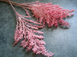 �y�ԍށz�v���U�[�u�h�t�����[�@�t���[���G�o�[�\���_�S1����3�{����