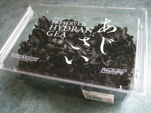 yԍށzvU[uht[@n_s~bhAWTCEwbh1@