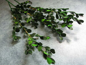 yԍށzvU[uht[@t[Go[@cQ13{@O[