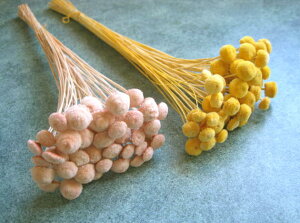 yhHzԍށEhCt[@n_{^t[1F50`60{