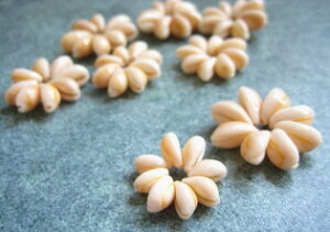 �y�ԍށz�L�@�^�J���V�F�������O1��8����