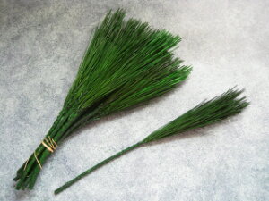 �y�ԍށz�v���U�[�u�h�t�����[�@��n�_���݂₱���@���@1��10�{����@�O���[��