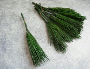 �y�ԍށz�v���U�[�u�h�t�����[�@��n�_���݂₱���@���}�@1��10�{����@�O���[��