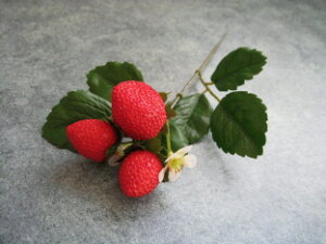 yԍށzԁEC`S@Xgx[sbN13{