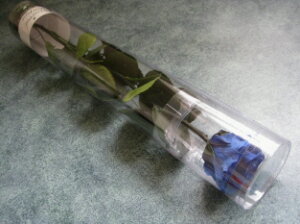 �y�S�ăv���U���ԍށz�v���U�[�u�h�t�����[�@�t���[���G�o�[�X�^���_�[�h���[�Y�X�e���t1�{�p�b�P�[�W����@�O�����u���[