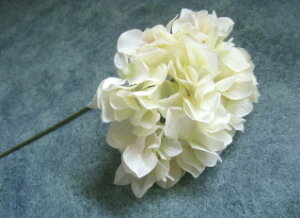 yԍށzԃAWTC@AX@nChWA1{@AC{[