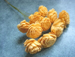 yԍށzhCt[@n_\[[[Y110{@WAIW