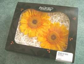 楽天市場】【防虫加工】花材・ドライフラワー 大地農園ポアプランツ1束 